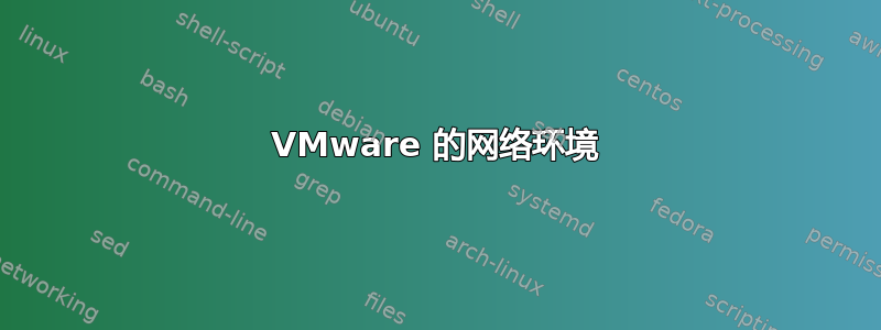 VMware 的网络环境