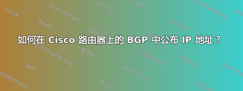 如何在 Cisco 路由器上的 BGP 中公布 IP 地址？