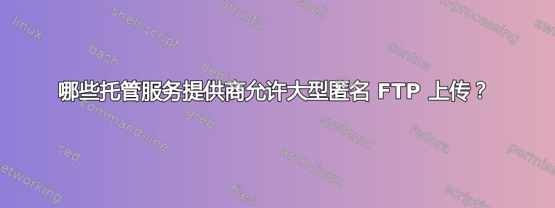 哪些托管服务提供商允许大型匿名 FTP 上传？