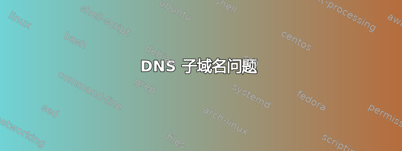 DNS 子域名问题