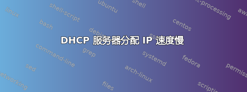 DHCP 服务器分配 IP 速度慢