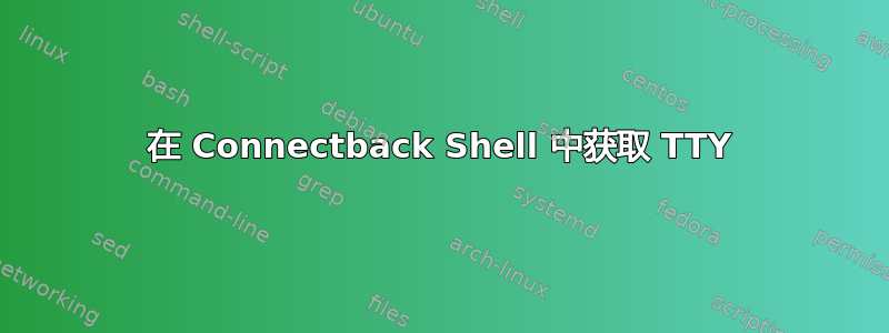 在 Connectback Shell 中获取 TTY