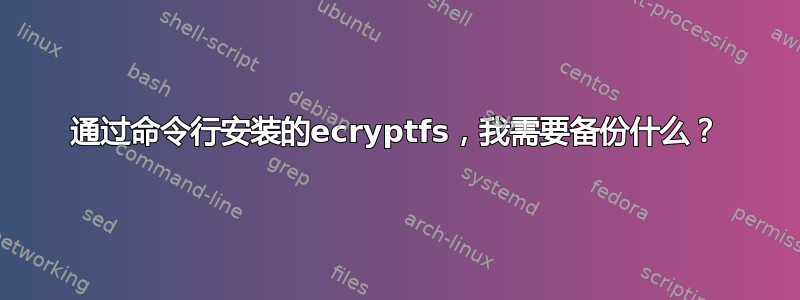 通过命令行安装的ecryptfs，我需要备份什么？