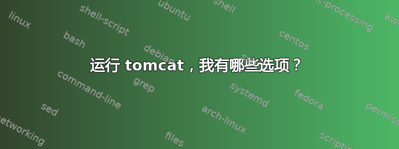 运行 tomcat，我有哪些选项？