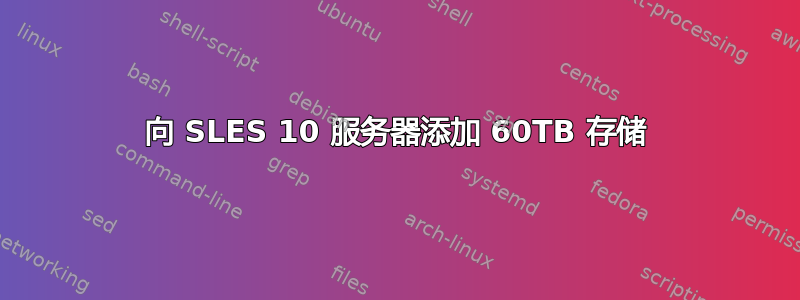 向 SLES 10 服务器添加 60TB 存储