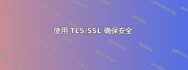 使用 TLS/SSL 确保安全