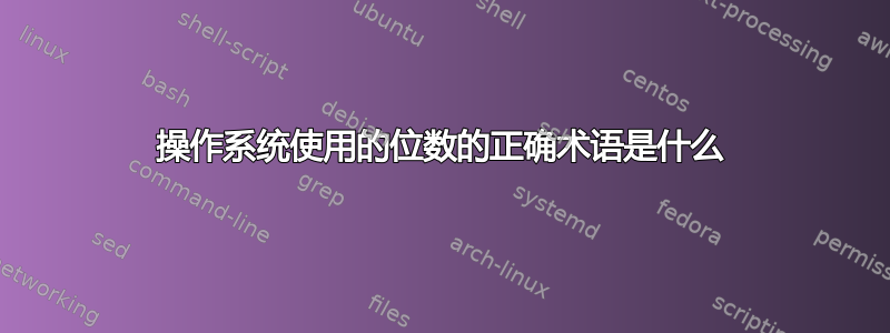 操作系统使用的位数的正确术语是什么