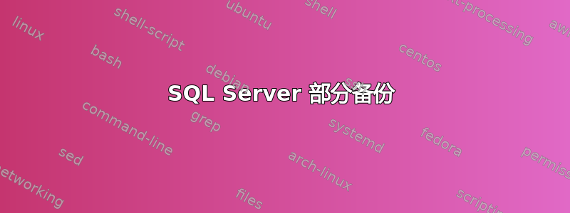 SQL Server 部分备份