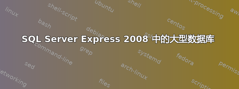 SQL Server Express 2008 中的大型数据库