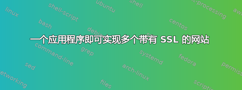 一个应用程序即可实现多个带有 SSL 的网站