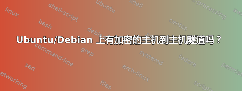 Ubuntu/Debian 上有加密的主机到主机隧道吗？