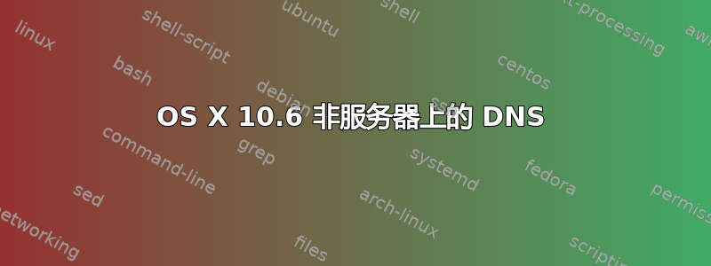 OS X 10.6 非服务器上的 DNS