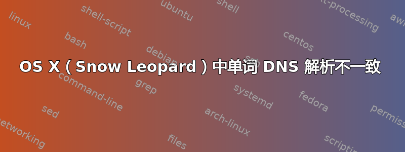 OS X（Snow Leopard）中单词 DNS 解析不一致