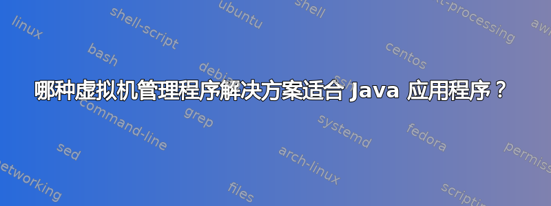 哪种虚拟机管理程序解决方案适合 Java 应用程序？