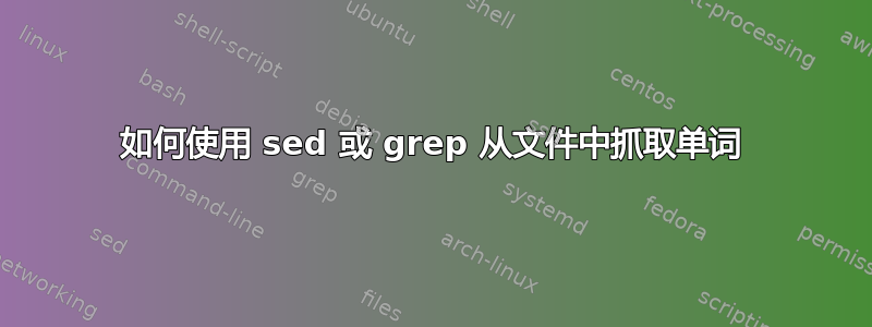 如何使用 sed 或 grep 从文件中抓取单词