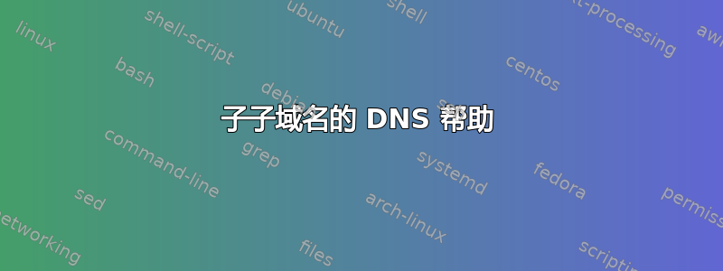 子子域名的 DNS 帮助