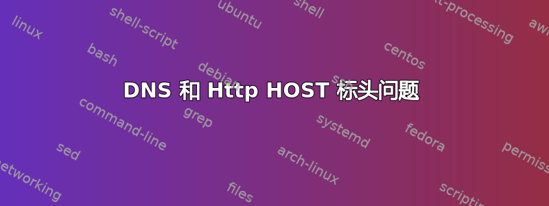 DNS 和 Http HOST 标头问题