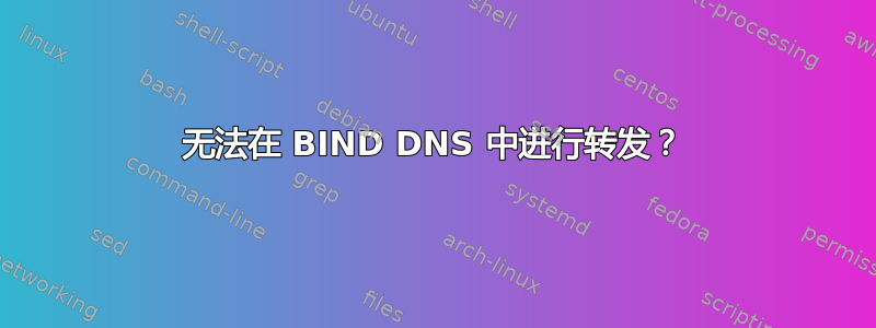 无法在 BIND DNS 中进行转发？