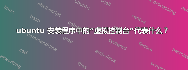 ubuntu 安装程序中的“虚拟控制台”代表什么？