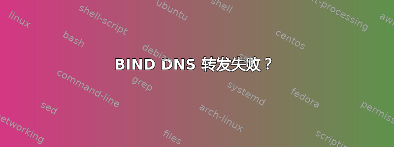 BIND DNS 转发失败？