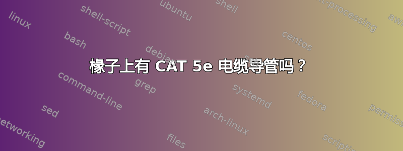 椽子上有 CAT 5e 电缆导管吗？