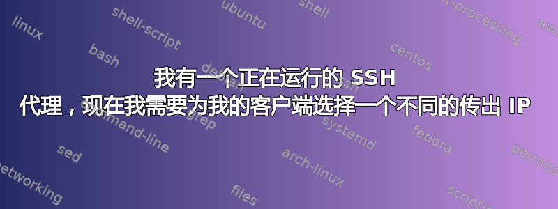 我有一个正在运行的 SSH 代理，现在我需要为我的客户端选择一个不同的传出 IP