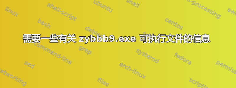 需要一些有关 zybbb9.exe 可执行文件的信息