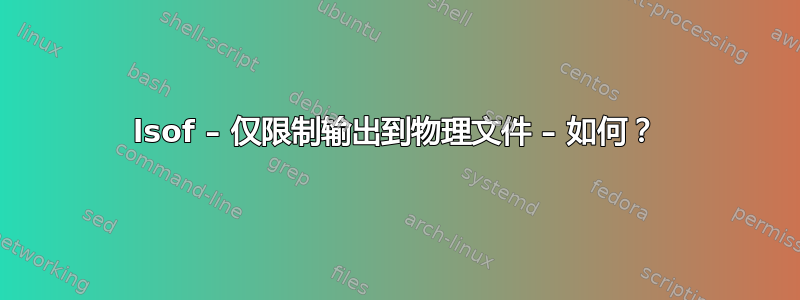 lsof – 仅限制输出到物理文件 – 如何？