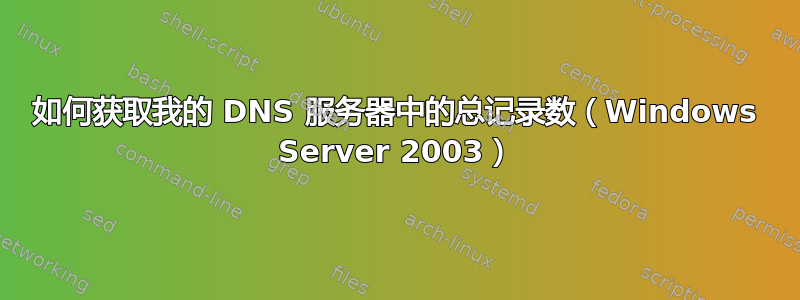 如何获取我的 DNS 服务器中的总记录数（Windows Server 2003）