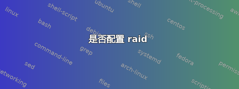 是否配置 raid