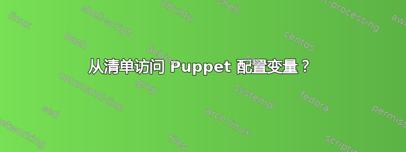 从清单访问 Puppet 配置变量？