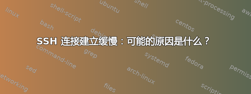 SSH 连接建立缓慢：可能的原因是什么？