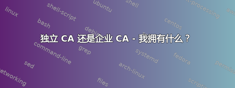 独立 CA 还是企业 CA - 我拥有什么？