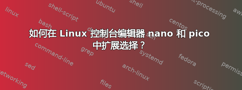 如何在 Linux 控制台编辑器 nano 和 pico 中扩展选择？