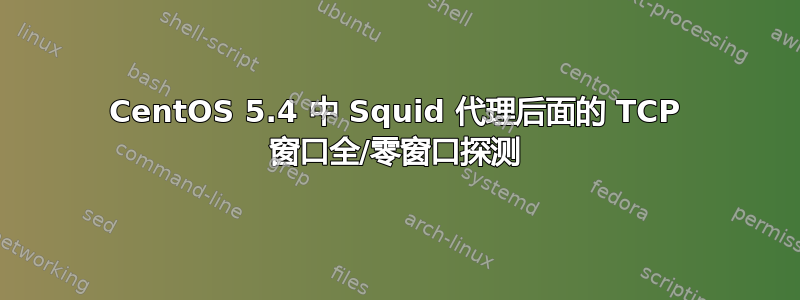 CentOS 5.4 中 Squid 代理后面的 TCP 窗口全/零窗口探测