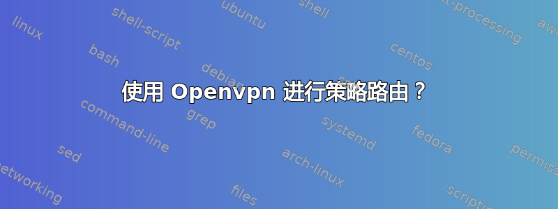 使用 Openvpn 进行策略路由？