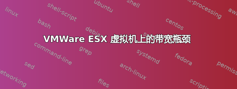 VMWare ESX 虚拟机上的带宽瓶颈