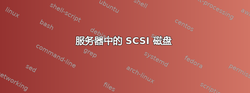 服务器中的 SCSI 磁盘