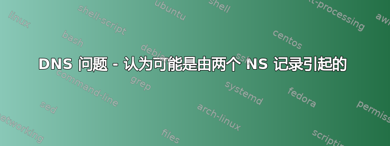 DNS 问题 - 认为可能是由两个 NS 记录引起的