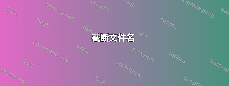 截断文件名