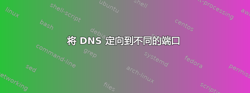 将 DNS 定向到不同的端口