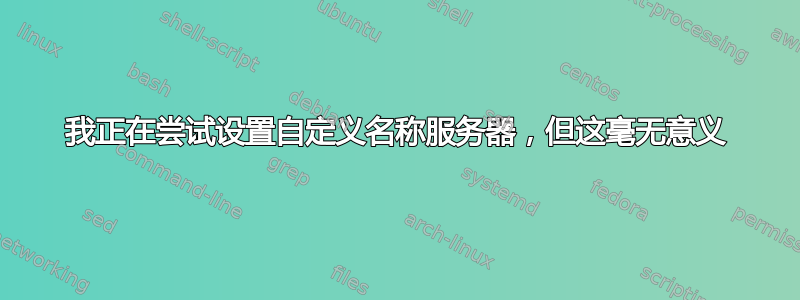 我正在尝试设置自定义名称服务器，但这毫无意义