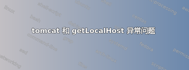 tomcat 和 getLocalHost 异常问题