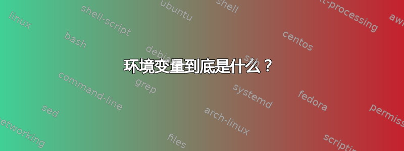 环境变量到底是什么？