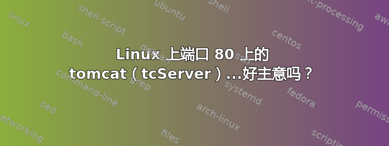 Linux 上端口 80 上的 tomcat（tcServer）...好主意吗？