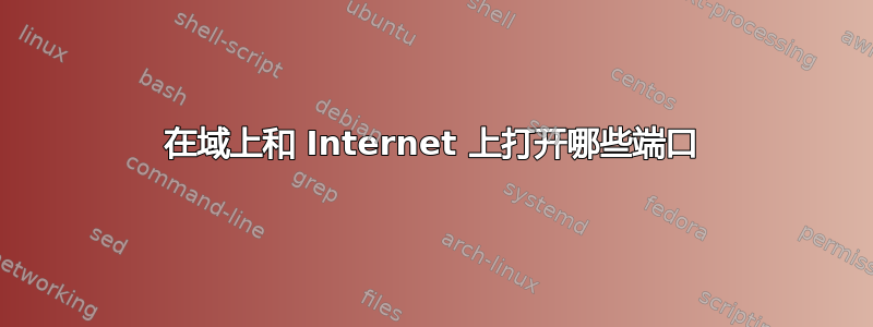 在域上和 Internet 上打开哪些端口