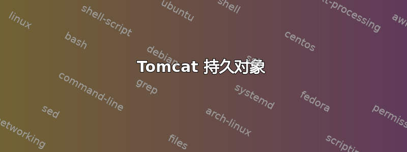 Tomcat 持久对象