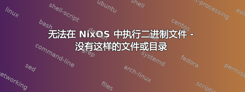 无法在 NixOS 中执行二进制文件 - 没有这样的文件或目录