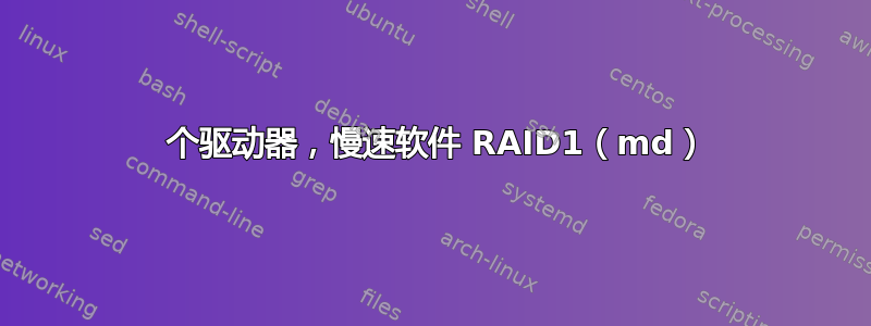 2 个驱动器，慢速软件 RAID1（md）