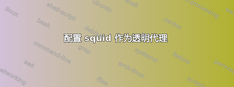 配置 squid 作为透明代理